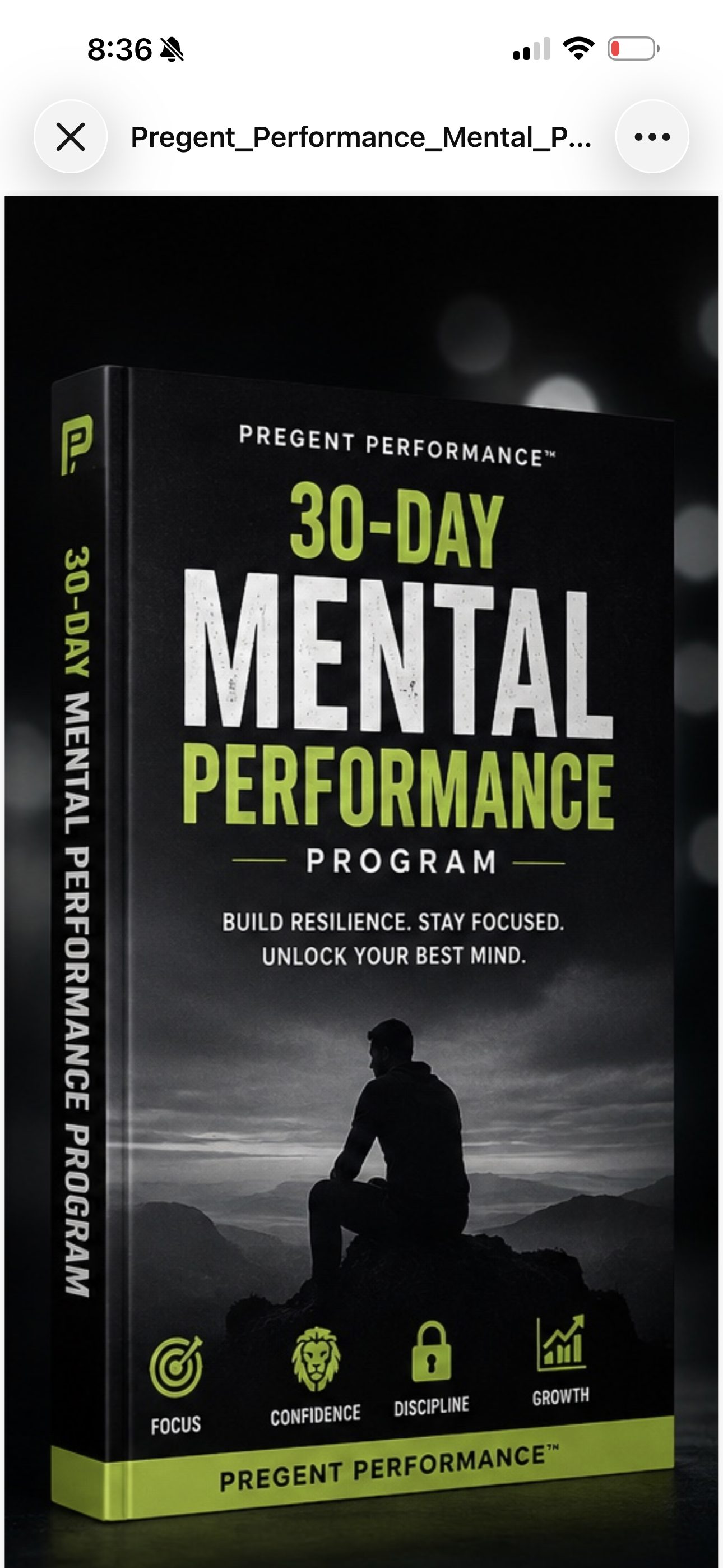 30-Day Mental Performance & Mindset Reset